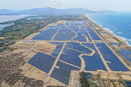 Thêm dự án năng lượng mặt trời 6.200 tỷ hoạt động, BCG Energy đã tích luỹ hơn 453 MW công suất phát điện