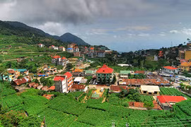 Bức xúc vì dân phượt vặt trộm su su khi lên Tam Đảo