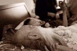 Cháu ngoại PGS Văn Như Cương kể lại phút cuối của thầy