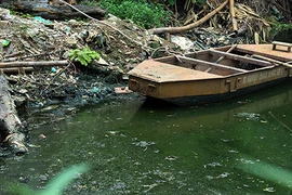 Ảnh: Những con mương "chết" tiềm ẩn sốt xuất huyết ở Hà Nội