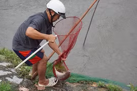 Ảnh: Mặc mưa lớn, dân Hà Nội hí hửng đổ ra sông bắt cá