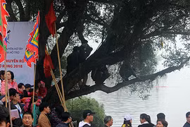 Phản cảm cảnh leo cây, đạp loa... xem đua thuyền rồng ở hồ Tây