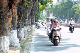 Dự báo thời tiết 2/4: Cuối tuần miền Bắc trở lạnh