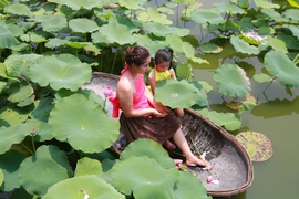 Biển người chụp ảnh ở đầm sen Hồ Tây, chủ đầm ngồi mát đếm tiền