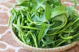 Ai cũng từng ăn rau muống, nhưng ít ai biết đại kỵ này