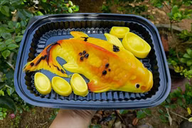 Trước ngày ông Công ông Táo, thạch cá chép ầm ầm “đổ bộ” chợ mạng 