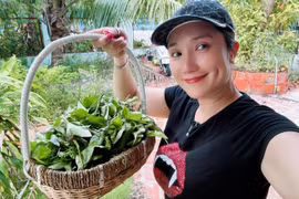 Nhà vườn 600m2 của MC Cát Tường tại Long An có gì?