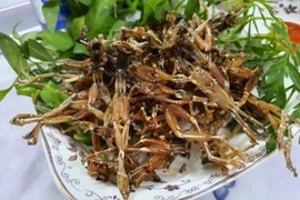 Những đặc sản miền Tây trông ghê sợ nhưng giá cực đắt đỏ