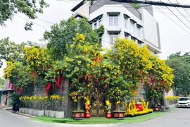 Chi tiết biệt thự trị giá 60 tỷ của ca sĩ Đàm Vĩnh Hưng