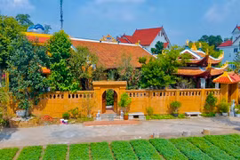 Cận cảnh 2 biệt phủ bạc tỷ của nghệ sĩ hài Vượng Râu 