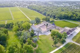 Toàn cảnh trang trại nho hoành tráng của Triệu Vy trước khi ly hôn 