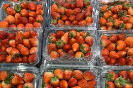 Mẹo phân biệt dâu tây Mộc Châu với dâu Trung Quốc