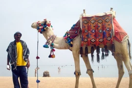 Vì sao những loài thú cưng này siêu đắt đỏ?