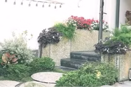 Biệt thự sang trọng 20 tỷ, ngập cây xanh Hương Tràm tặng bố mẹ 