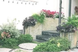 Biệt thự sang trọng 20 tỷ, ngập cây xanh Hương Tràm tặng bố mẹ 