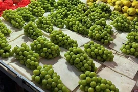 Nho sữa Trung Quốc chứa chất trừ sâu, người tiêu dùng Việt hoang mang