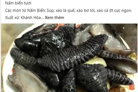 Bóc trần sự thật về loại nấm lạ đen đang gây sốt chợ mạng