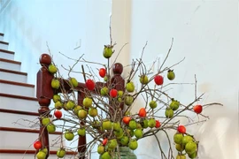 Cành quả cắm bình gây "sốt" cho chị em năm 2024 