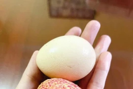 Những quả vải trứng siêu to khổng lồ giá hơn 200.000 đồng mỗi kg 