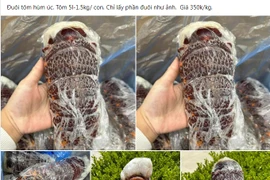 Sự thật đuôi tôm hùm Úc giá siêu rẻ