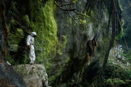 Xem những người thợ săn mật ong cheo leo trên vách đá dựng đứng