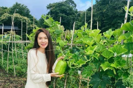 Cận cảnh nông trại bạt ngàn rau củ, cây ăn trái của Lý Hải - Minh Hà