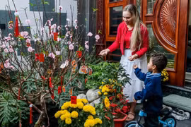 Ngôi nhà ngập sắc hoa đón Tết của tiền đạo Xuân Son