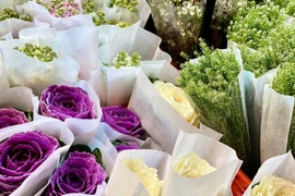Gần Tết, hoa nhập khẩu giá rẻ hút khách