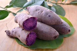 Khoai lang màu gì bổ dưỡng nhất? 