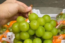 Cẩn trọng khi dùng nho sữa Trung Quốc chứa chất trừ sâu