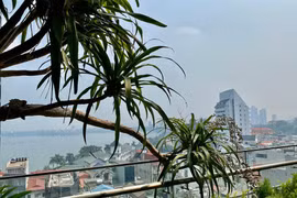 Chi tiết căn nhà ngập hơi thở thiên nhiên của ca sĩ Tùng Dương