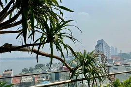 Chi tiết căn nhà ngập hơi thở thiên nhiên của ca sĩ Tùng Dương