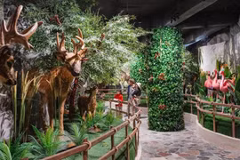 Nghỉ giỗ Tổ Hùng Vương, nhiều gia đình du lịch tự túc