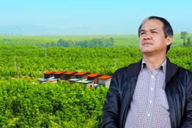 Tài sản của đại gia Việt đầu tiên sở hữu máy bay riêng còn lại gì?