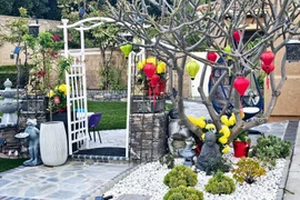 Vợ chồng Thu Phương - Dũng Taylor sở hữu khu vườn 500 m2 ở Mỹ 