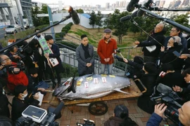 Con cá 19 tỷ được đại gia mua có gì đặc biệt?