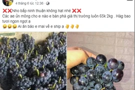 Đằng sau loại nho đen không hạt được gắn mác nho Ninh Thuận là gì?