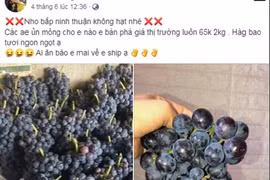 Đằng sau loại nho đen không hạt được gắn mác nho Ninh Thuận là gì?