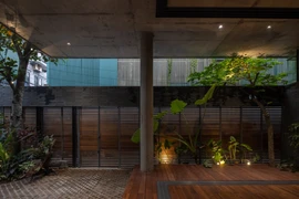 Cận cảnh căn nhà được bao bọc bởi... rừng cây giữa đô thị 