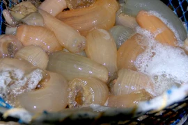 Cháy hàng rum biển 'thần dược quý ông' dù giá rất cao