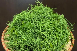 Hoa rau ngót rừng có gì đặc biệt mà giá "chát" tới 300.000 đồng/kg?