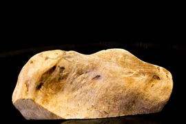 Vì sao gỗ bạch kỳ nam có giá tới 50 tỷ/kg?