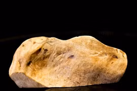 Vì sao gỗ bạch kỳ nam có giá tới 50 tỷ/kg?