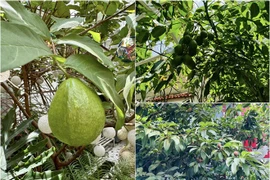 Biệt thự 1.400m2 của ca sỹ Vy Oanh và chồng đại gia 