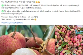 Vải chín sớm tấp nập khách mua, giá lên tới hơn 100.000 đồng/kg
