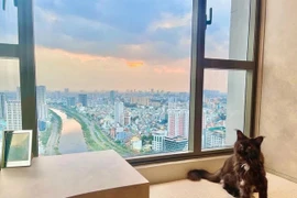 Trấn Thành - Hari Won có căn hộ như khách sạn 5 sao 