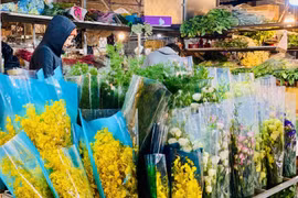 Không khí nhộn nhịp tại chợ hoa lớn nhất Hà Nội ngày giáp Tết