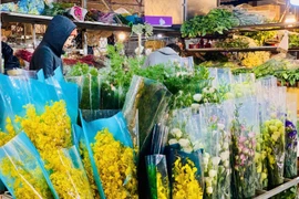 Không khí nhộn nhịp tại chợ hoa lớn nhất Hà Nội ngày giáp Tết