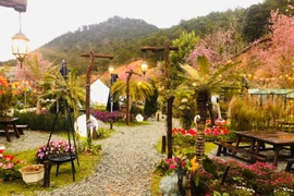 Ngắm cơ ngơi 1.000m2 như cổ tích của nhạc sĩ Khánh Đơn tại Đà Lạt