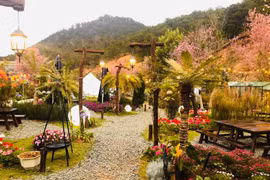 Ngắm cơ ngơi 1.000m2 như cổ tích của nhạc sĩ Khánh Đơn tại Đà Lạt